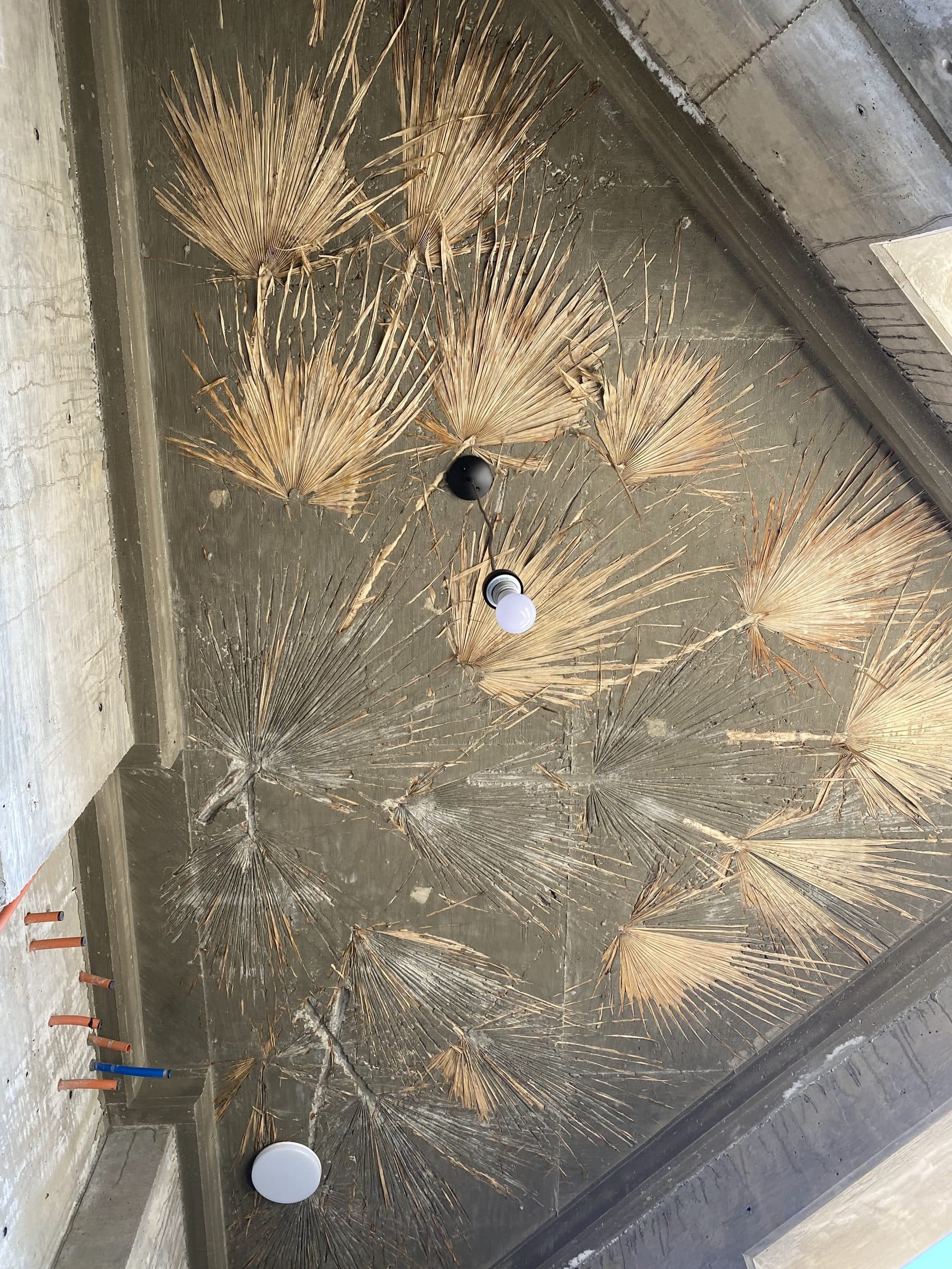 Dried palm fronds cast as relief into a concrete ceiling, around a black pendant light.