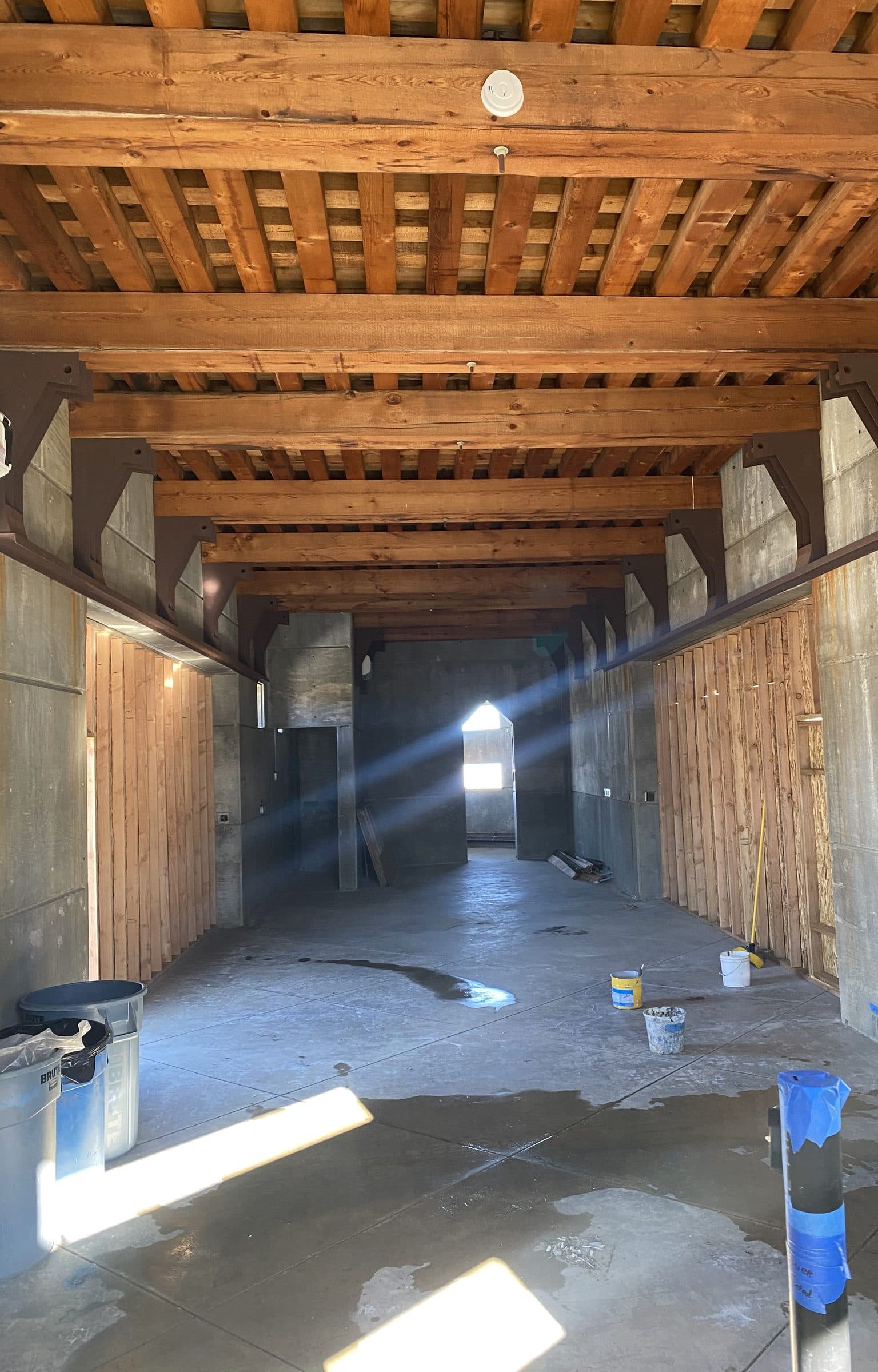 Sunbeam raking through a timber-ceilinged concrete hall during finish work.