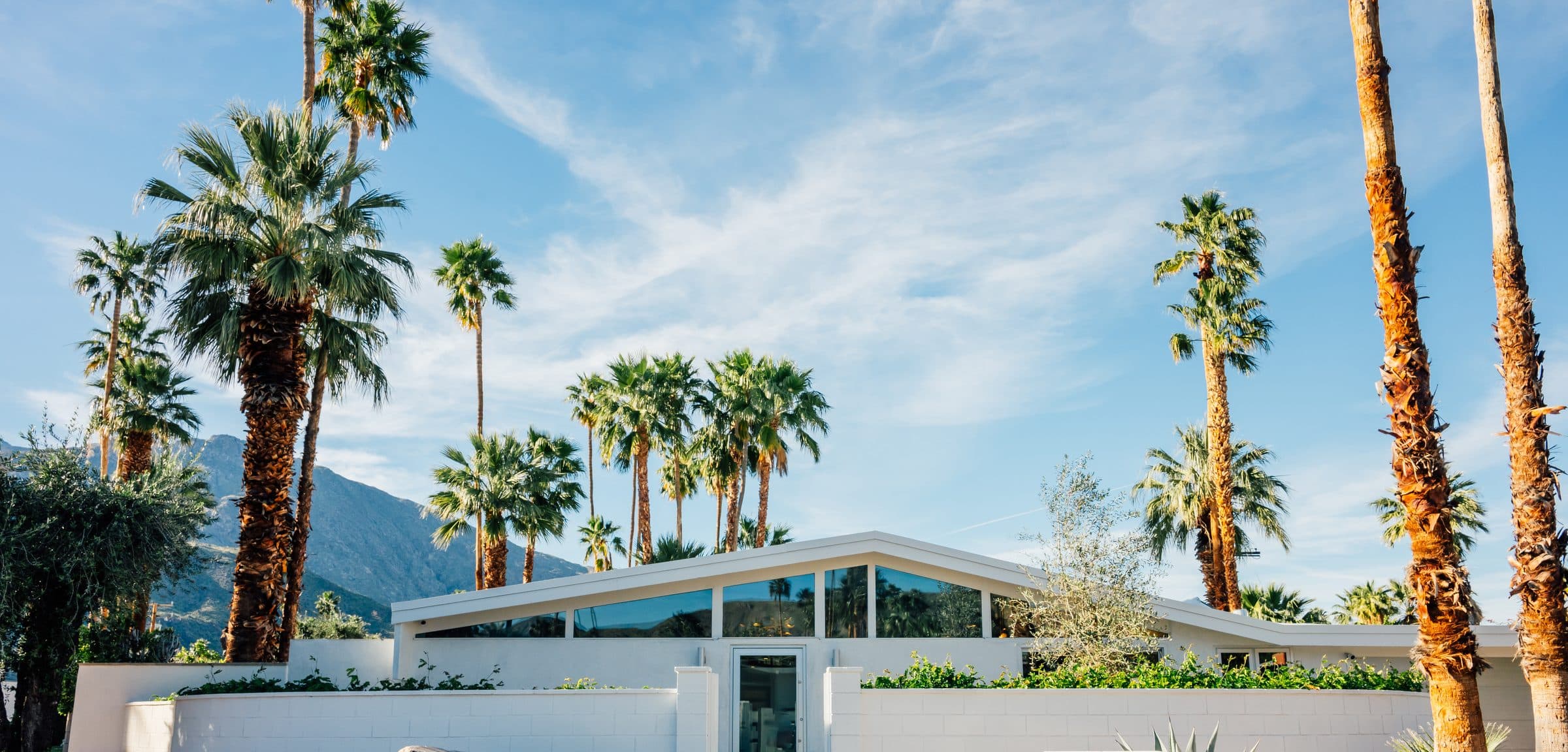 Street view over the white block wall: the long roofline and its band of clerestory glass among tall palms, a mountain ridge at the left horizon.