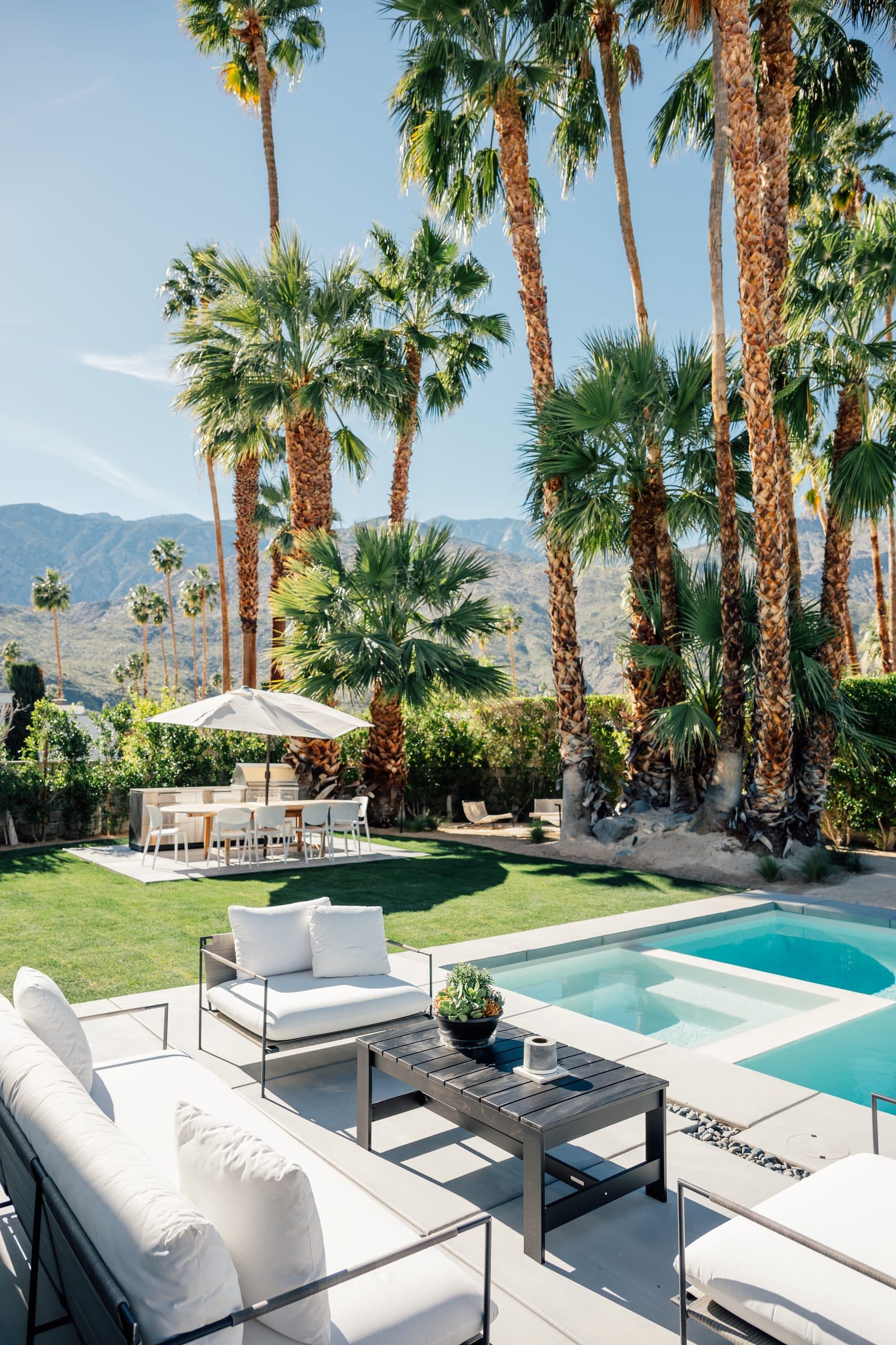The renovated pool and spa in full sun, palms flanking the deck and the San Jacinto peaks rising behind the hedge.