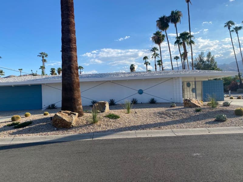 Desert frontage framed by palms