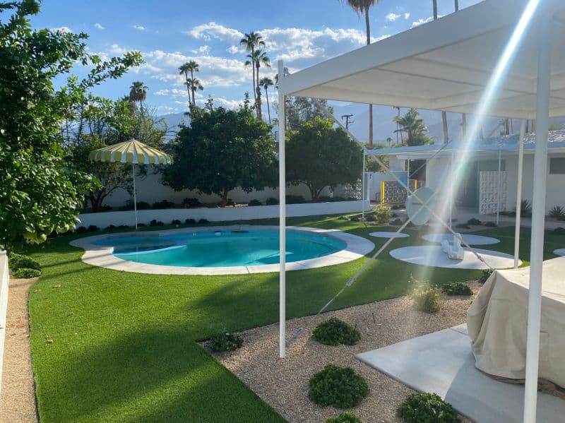 Pool and landscaped yard