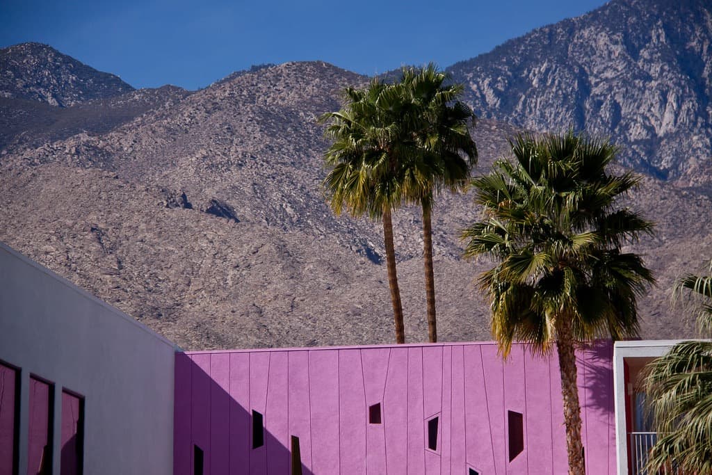 Magenta color block against the desert mountains and palms
